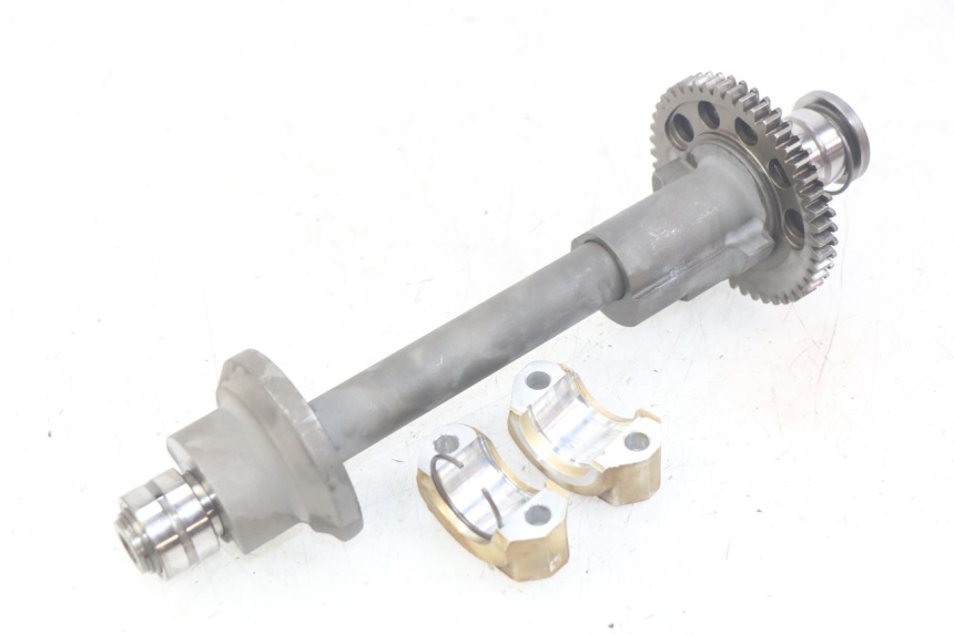 photo de BILANCIERE MOTORE TRIUMPH SPRINT ST 955 (1999 - 2001)