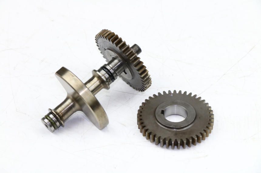 photo de Bilanciere motore YAMAHA WR X 125 (2009 - 2008)
