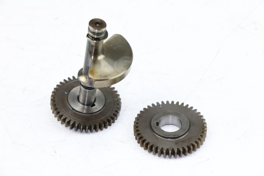 photo de Bilanciere motore YAMAHA WR X 125 (2009 - 2008)