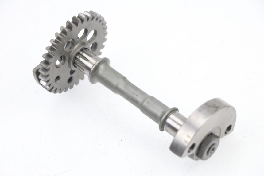 photo de SUPPORTO MOTORE YAMAHA YZF YZ-F 450 (2006 - 2009)