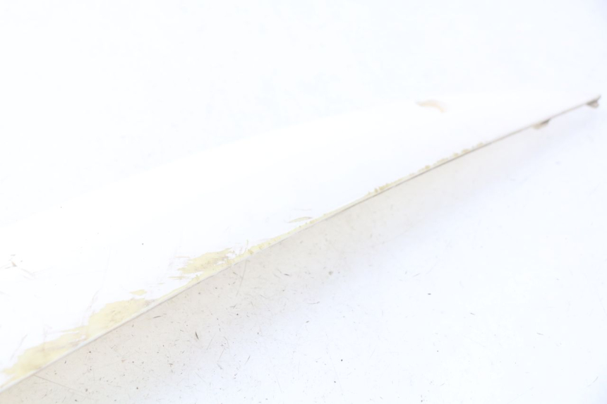 photo de FIANCATA DESTRA JM MOTORS MIA 50 (2017 - 2020)