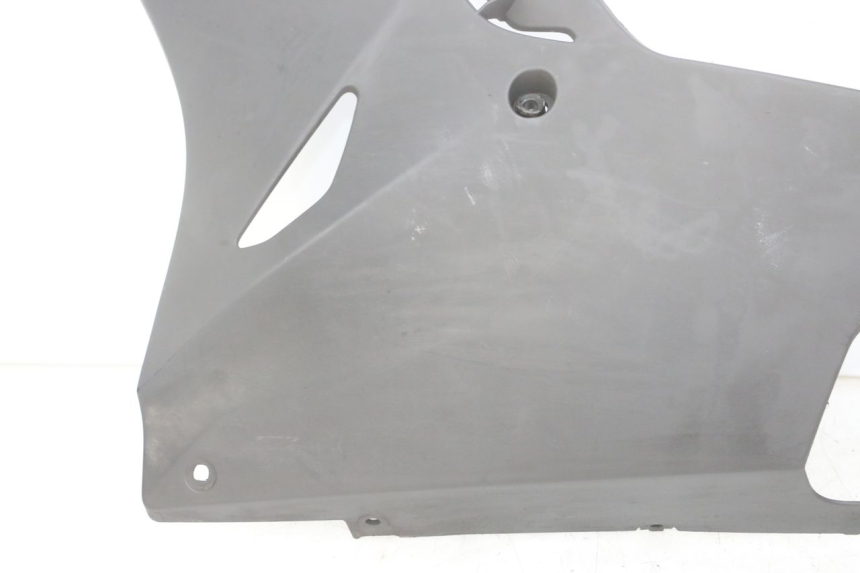 photo de SOTTOPEDANA SINISTRA BMW S RR ABS S1000RR 1000 (2015 - 2018)