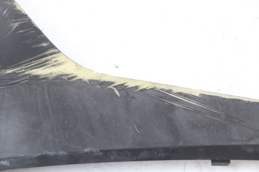 photo de SOTTOPEDANA SINISTRA LONGJIA EASY MAX 125 (2020 - 2024)