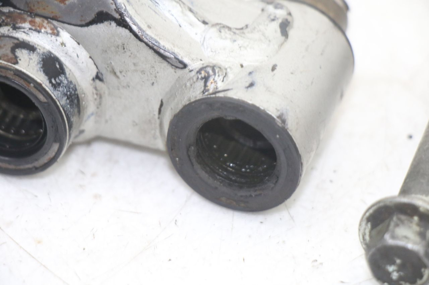 photo de LEVERAGGIO KAWASAKI KX 65 (2000 - 2019)