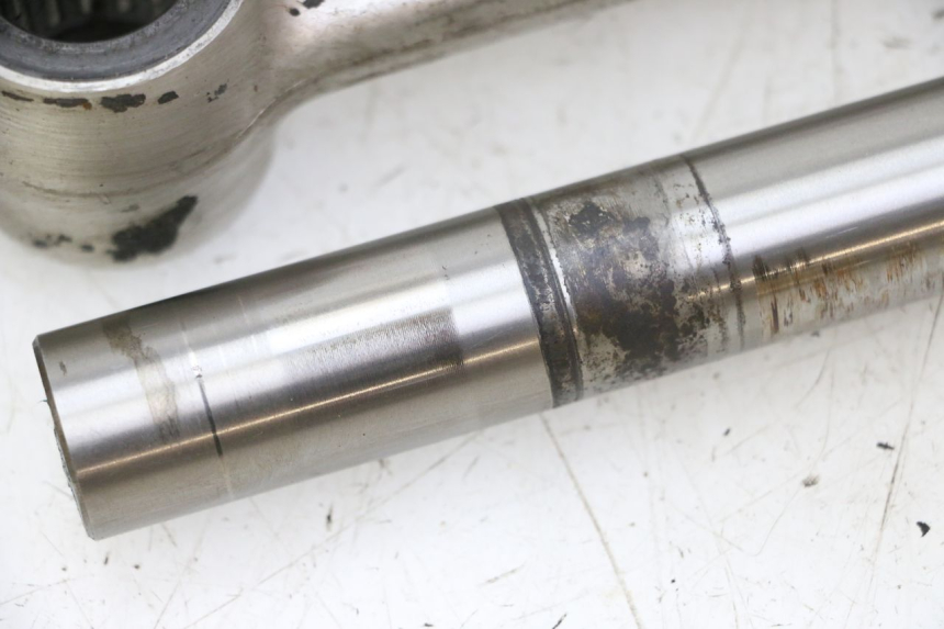 photo de LEVERAGGIO TRIUMPH SPRINT 900 (1995 - 1998)