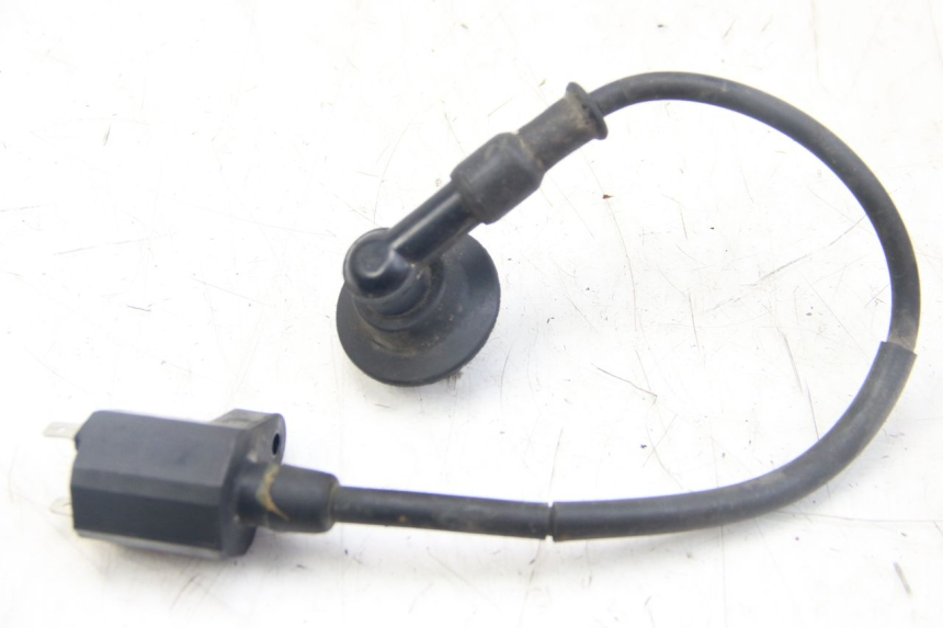 photo de BOBINA PGO BIG MAX 50 (2001 - 2009)