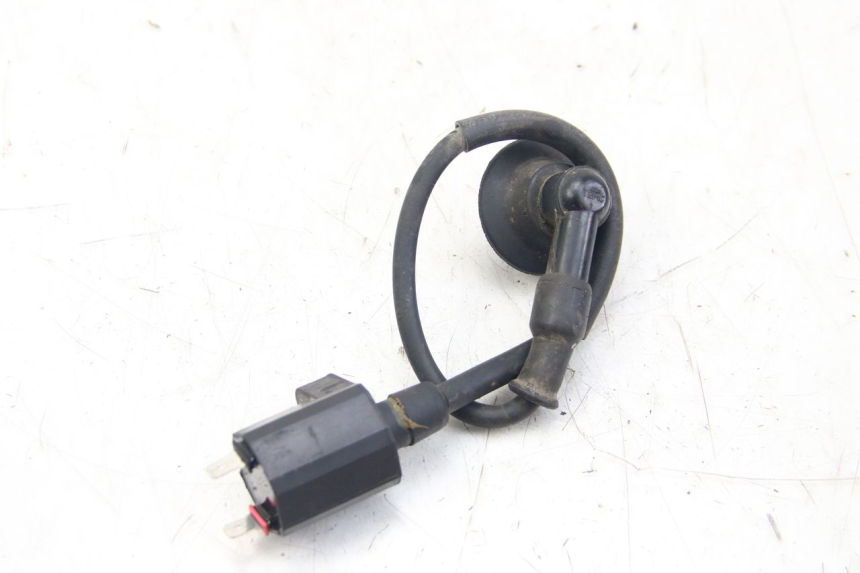 photo de BOBINA PGO BIG MAX 50 (2001 - 2009)