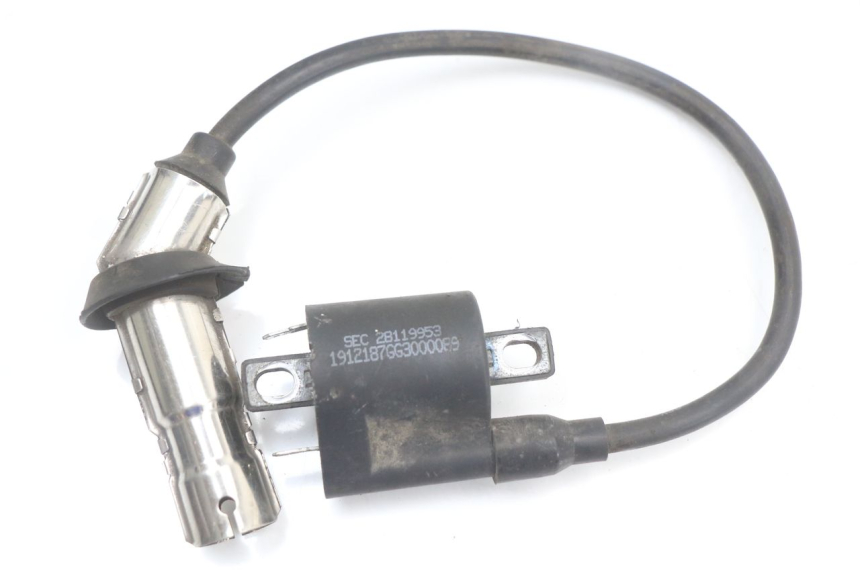 photo de BOBINA LONGJIA EASY MAX 125 (2020 - 2024)