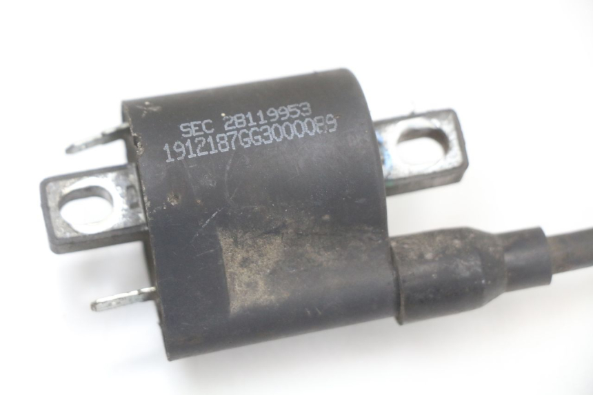 photo de BOBINA LONGJIA EASY MAX 125 (2020 - 2024)