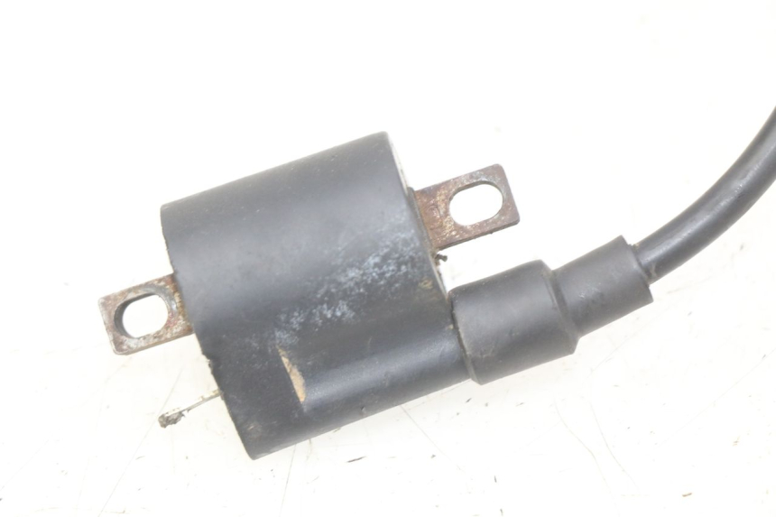 photo de BOBINA JIANSHE COYOTE 80