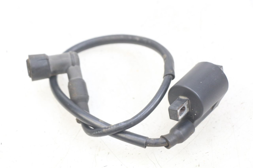 photo de BOBINA YAMASAKI RAPTOR 50 (2013 - 2018)