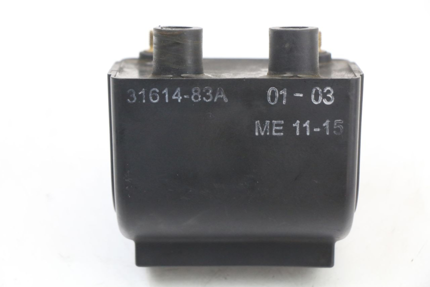 photo de BOBINA HARLEY DAVIDSON SPORTSTER XL CUSTOM 1200 (2003 - 2004)