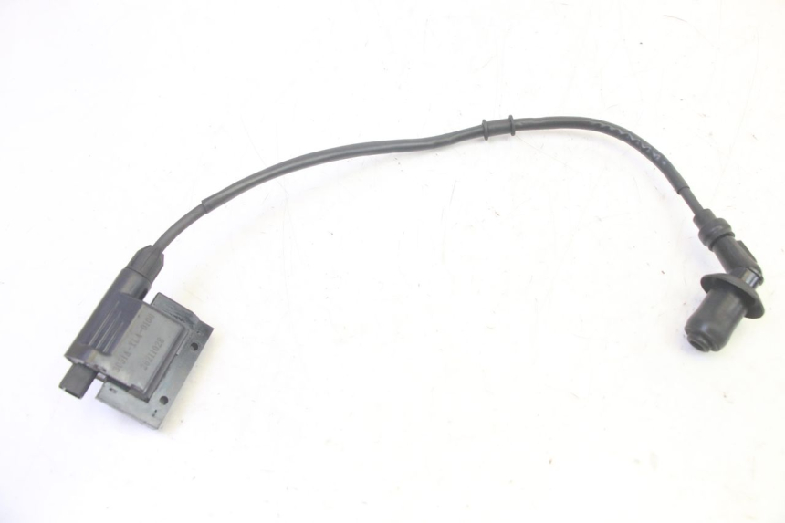 photo de BOBINA PEUGEOT TWEET PRO EFI 4T 50 (2021 - 2022)