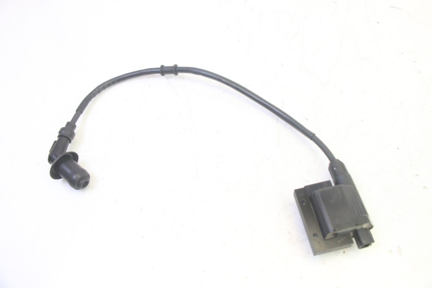 photo de BOBINA PEUGEOT TWEET PRO EFI 4T 50 (2021 - 2022)