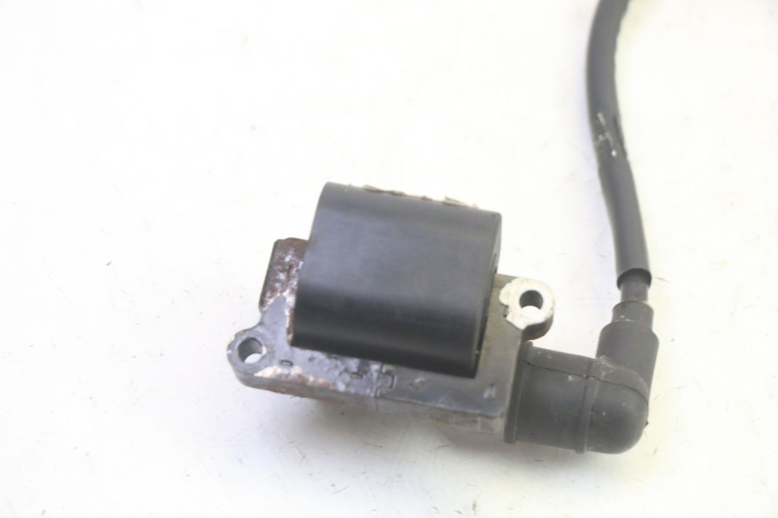 photo de BOBINA DAELIM VJ ROADWIN FI 125 (2008 - 2017) - Dettaglio del componente