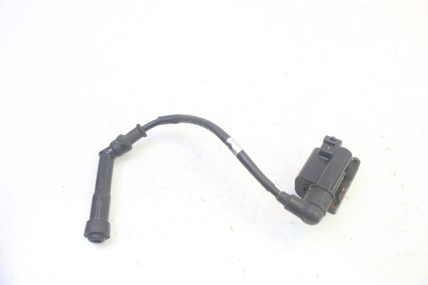 photo de BOBINA DAELIM VJ ROADWIN FI 125 (2008 - 2017) - Altra angolazione