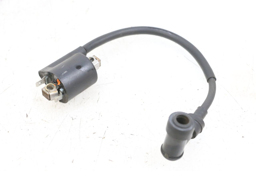 photo de BOBINA YAMAHA XMAX X-MAX 125 (2006 - 2009) - Dettaglio del componente