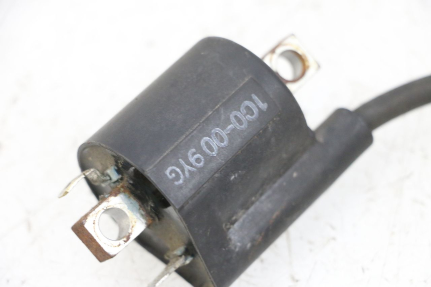 photo de BOBINA YAMAHA X-MAX XMAX 125 (2010 - 2013) - Zoom sullo stato d'uso