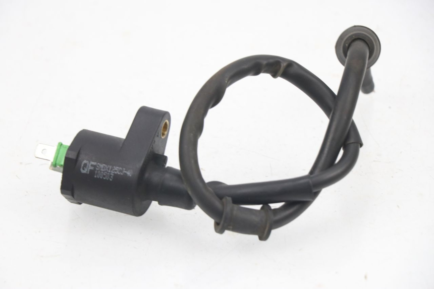 photo de Bobina RAZZO XENON 4T 50 (2008 - 2012)