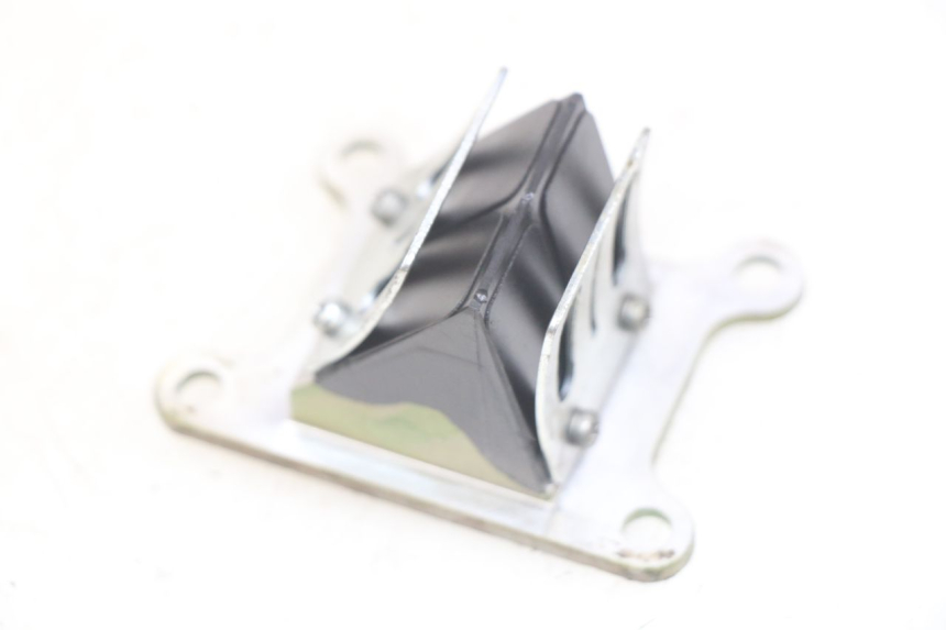 photo de VALVOLA LAMELLARE KYMCO AGILITY NAKED RENOUVO 2T 50 (2011 - 2018)