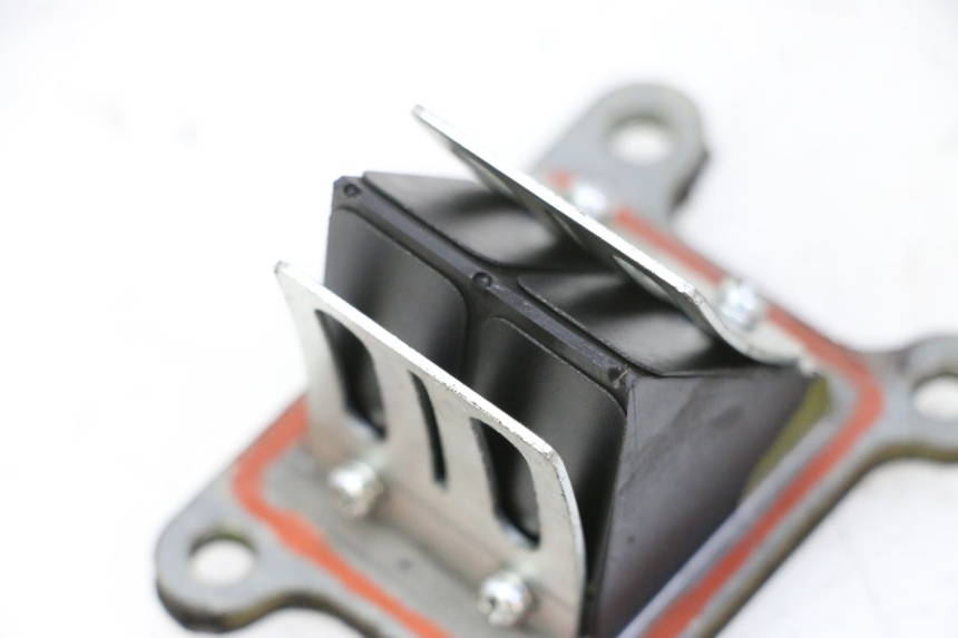 photo de VALVOLA LAMELLARE KYMCO AGILITY NAKED RENOUVO 2T 50 (2011 - 2018)