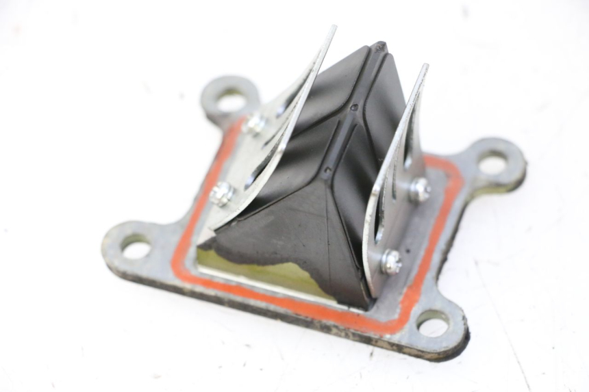 photo de VALVOLA LAMELLARE KYMCO AGILITY NAKED RENOUVO 2T 50 (2011 - 2018)