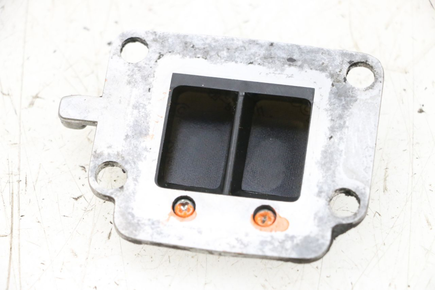 photo de VALVOLA LAMELLARE MBK BOOSTER SPIRIT NAKED 50 (2004 - 2017) - Altra angolazione