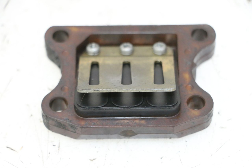 photo de VALVOLA LAMELLARE PEUGEOT ELYSTAR 50 (2002 - 2014)