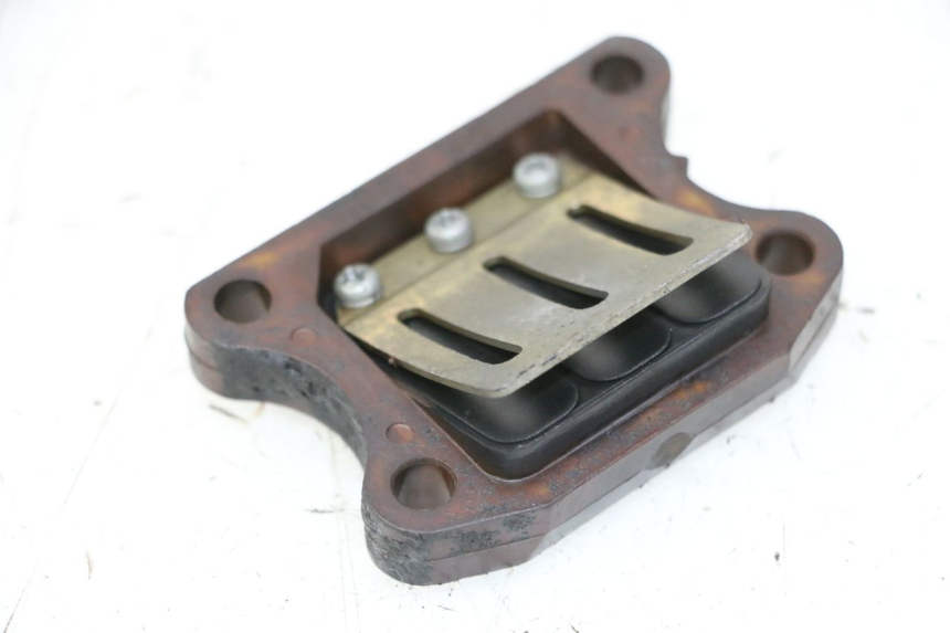 photo de VALVOLA LAMELLARE PEUGEOT ELYSTAR 50 (2002 - 2014)