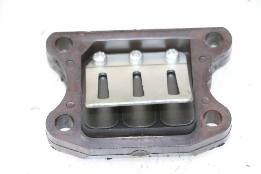 photo de VALVOLA LAMELLARE PEUGEOT ELYSTAR 50 (2002 - 2014)