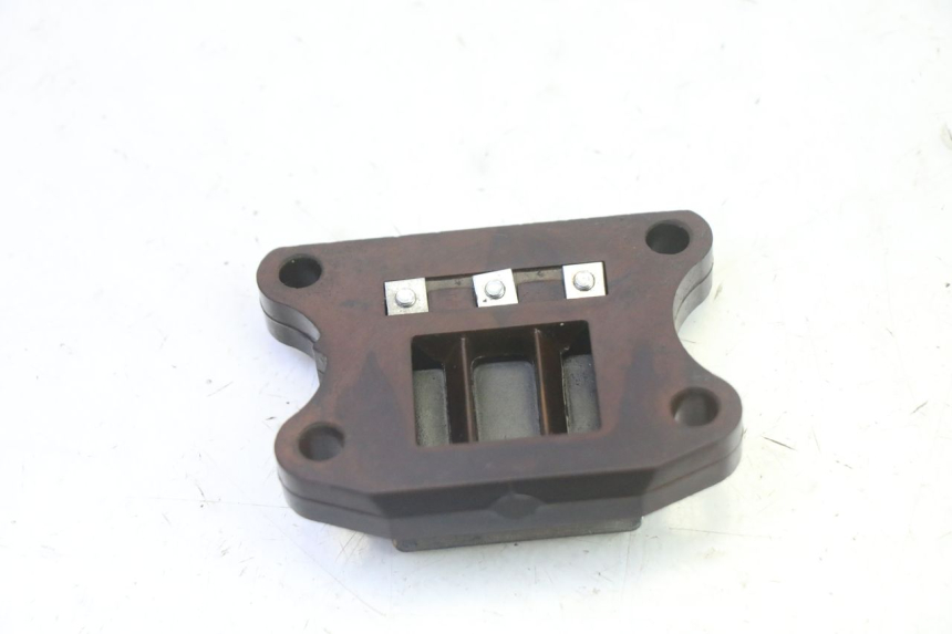 photo de VALVOLA LAMELLARE PEUGEOT ELYSTAR 50 (2002 - 2014)