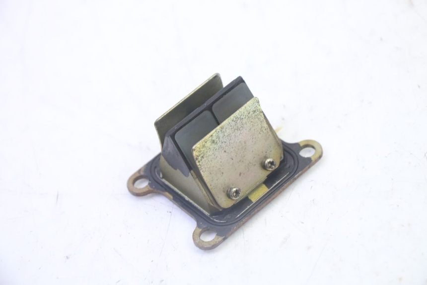 photo de VALVOLA LAMELLARE KAWASAKI KX 65 (2000 - 2019)