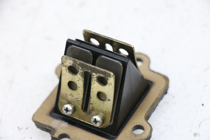 photo de VALVOLA LAMELLARE YAMAHA NEO'S NEOS 2T 50 (1998 - 2007) - Dettaglio del componente