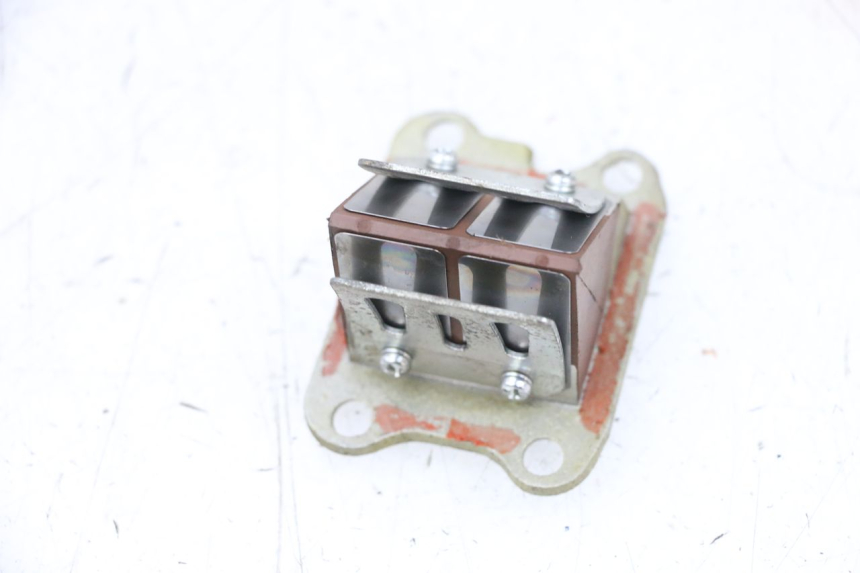 photo de VALVOLA LAMELLARE SYM ORBIT 2 50 (2008 - 2014) - Zoom sullo stato d'uso