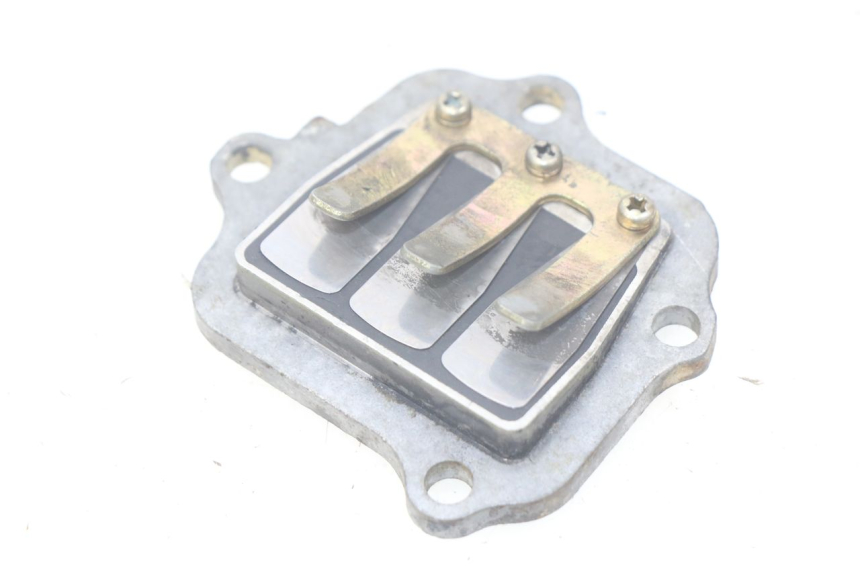 photo de VALVOLA A FARFALLA YAMAHA PW 80 (1983 - 2014)