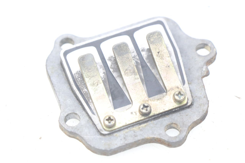 photo de VALVOLA A FARFALLA YAMAHA PW 80 (1983 - 2014)