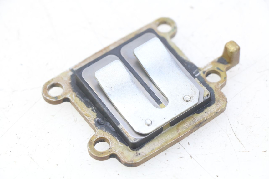 photo de VALVOLA A FARFALLA YAMAHA SLIDER NAKED 50 (2004 - 2018)