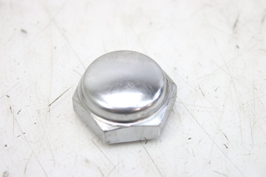 photo de TAPPO FORCELLA TRIUMPH SPRINT ST 955 (1999 - 2001)
