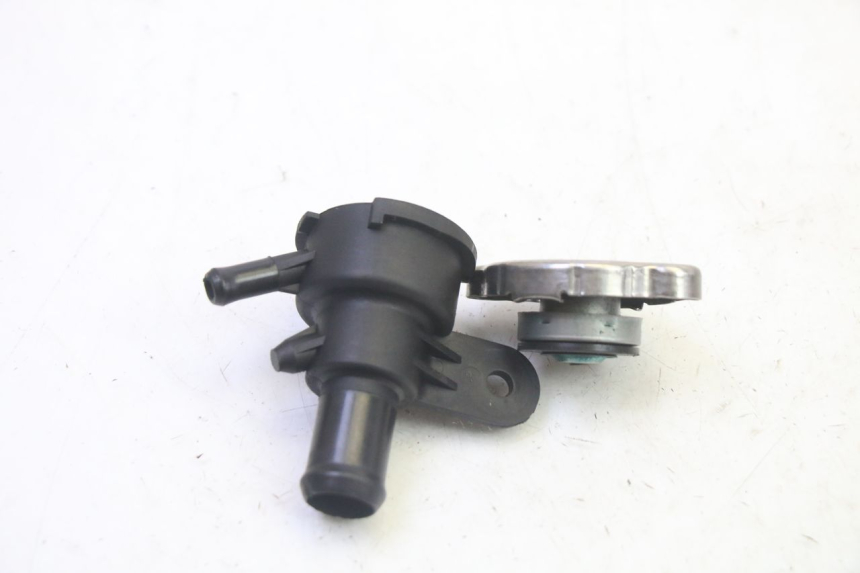 photo de TAPPO RADIATORE QUADRO 4 4D 350 (2015 - 2018)