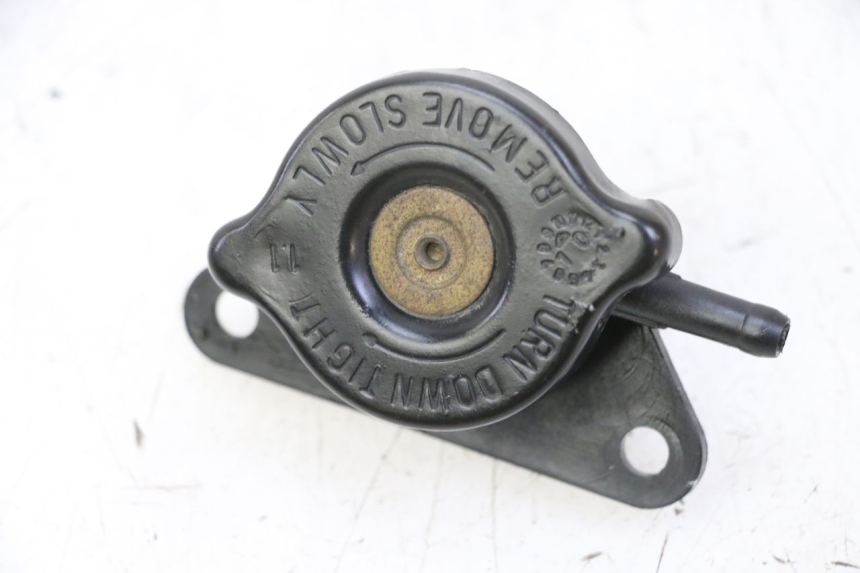 photo de TAPPO DEL RADIATORE SUZUKI BURGMAN 125 (2007 - 2014)