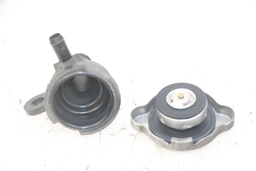 photo de RADIATORE HONDA FORZA ABS 300 (2013 - 2019)