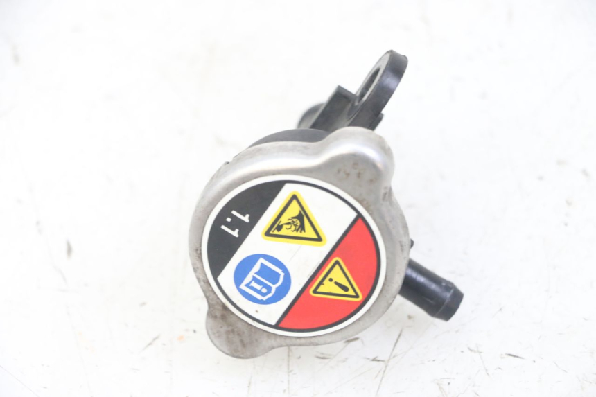 photo de RADIATORE HONDA FORZA ABS 300 (2013 - 2019)