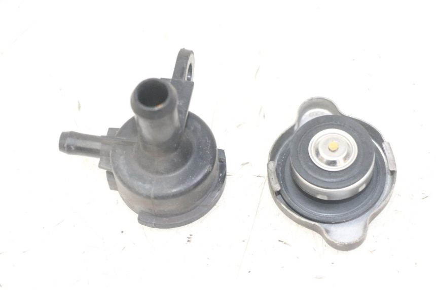 photo de RADIATORE HONDA FORZA ABS 300 (2013 - 2019)