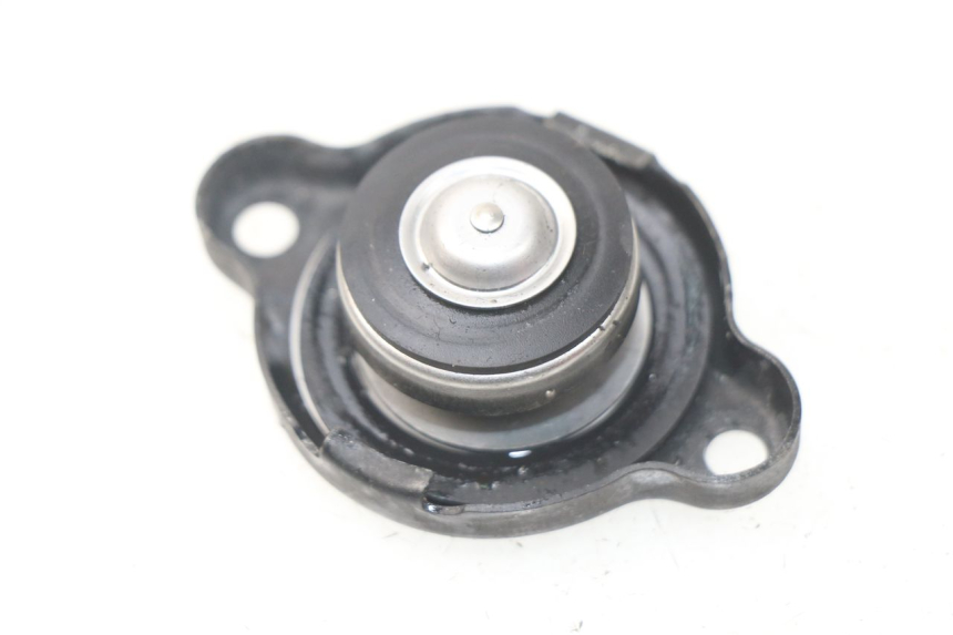 photo de RADIATORE YAMAHA FZ8 800 (2010 - 2016)