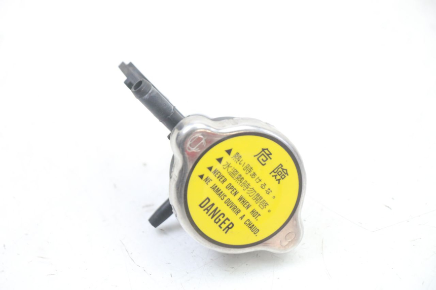 photo de RADIATORE KYMCO GRAND DINK 125 (2008 - 2014)