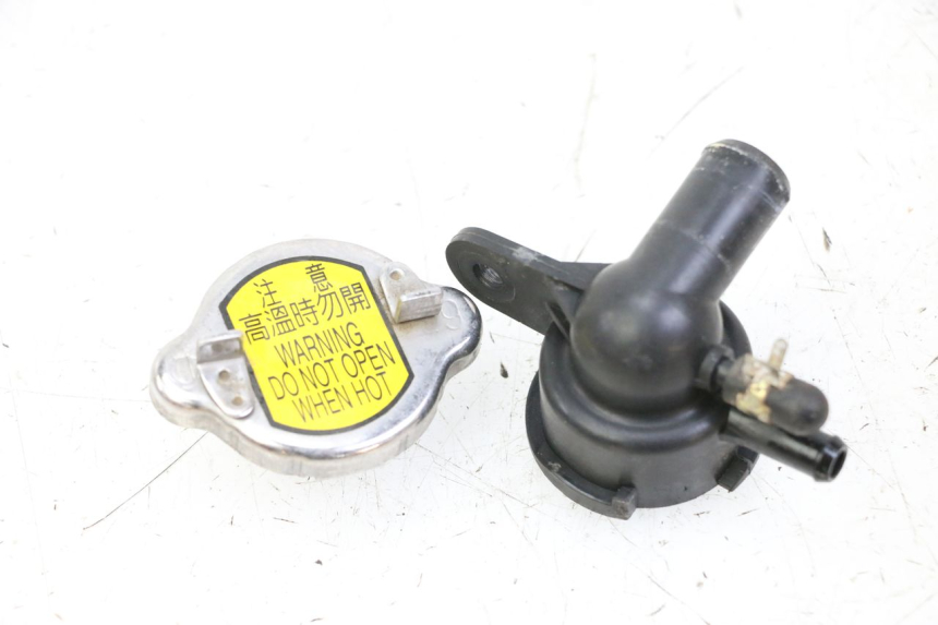 photo de RADIATORE SYM JOYMAX 125 (2010 - 2017)