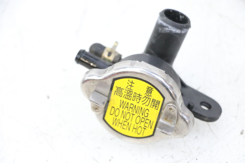 photo de RADIATORE SYM JOYMAX 125 (2010 - 2017)
