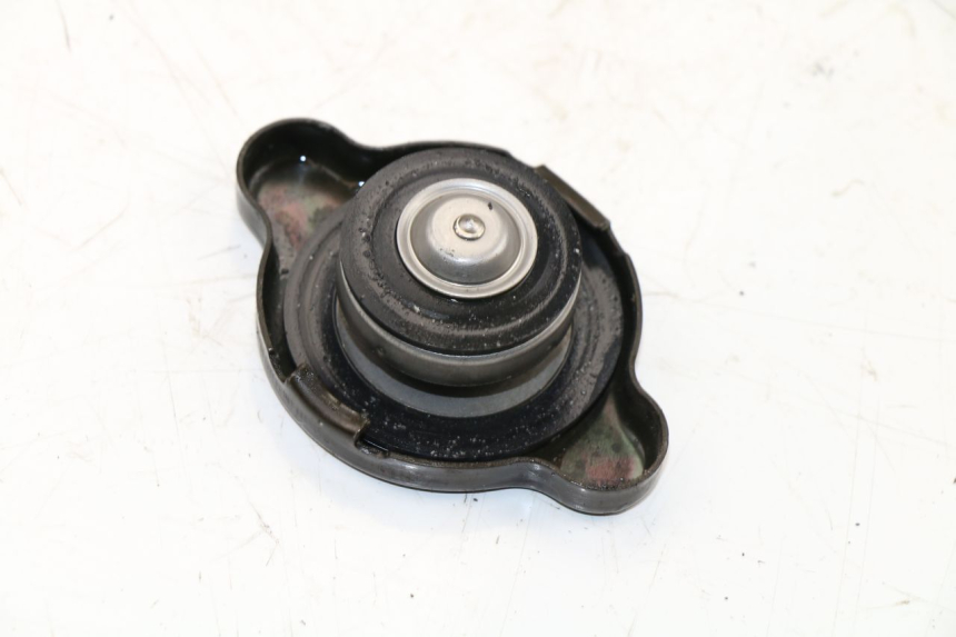 photo de TAPPO DEL RADIATORE KAWASAKI Z 750 (2003 - 2006)