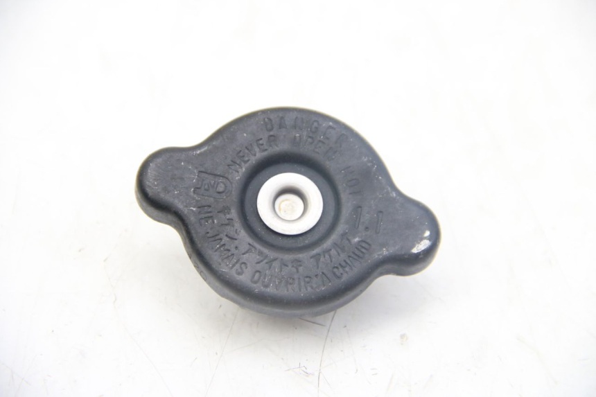 photo de TAPPO DEL RADIATORE KAWASAKI Z ABS 1000 (2014 - 2020)