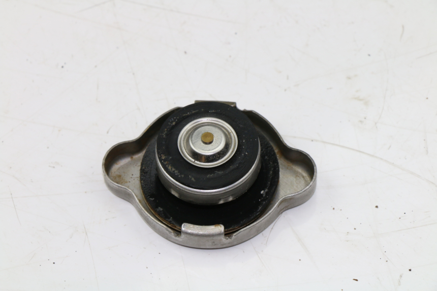 photo de TAPPO DEL RADIATORE KAWASAKI KVF EPS 4X4 BRUTE FORCE 750 (2012 - 2017)